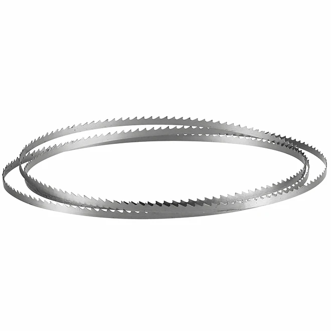 Bosch General Purpose Stationary Band Saw Blade - 1/4-in W X 72 7/16-in L X 1/64-in T - 6-TPI - Steel 2 Bosch General Purpose Stationary Band Saw Blade - 1/4-in W X 72 7/16-in L X 1/64-in T - 6-TPI - Steel